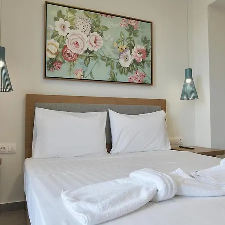 Lofts To Let 3*