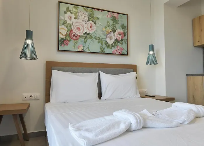 Lofts To Let 3*