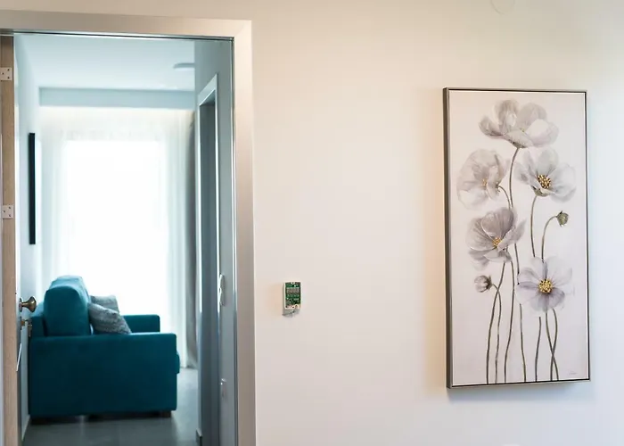 Lofts To Let