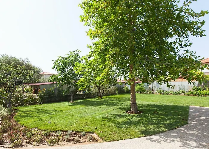 Lofts To Let