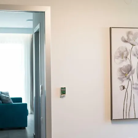 Lofts To Let