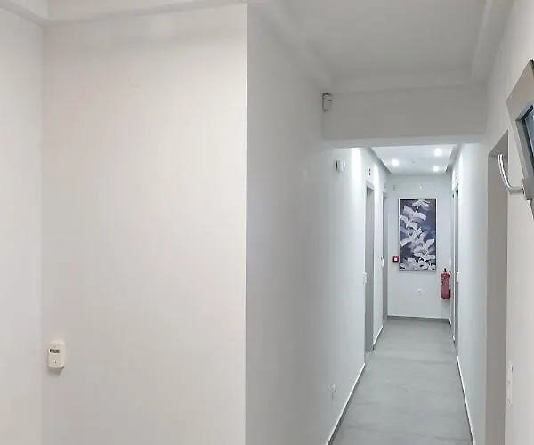 Lofts To Let
