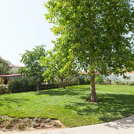 Lofts To Let