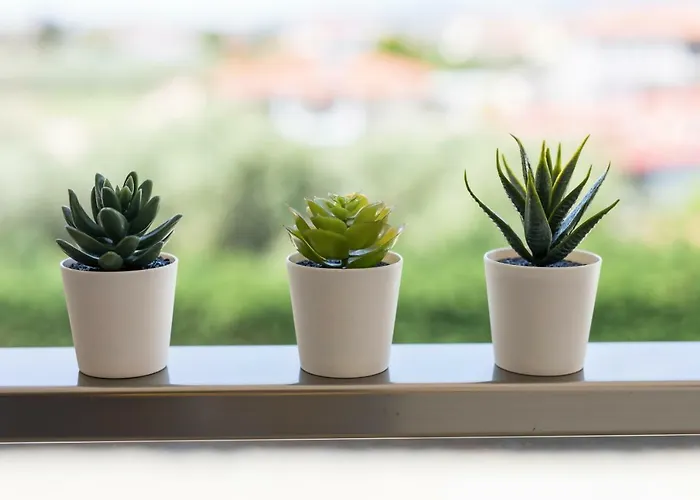 Lofts To Let Apartmanhotel Kalyves Polygyrou